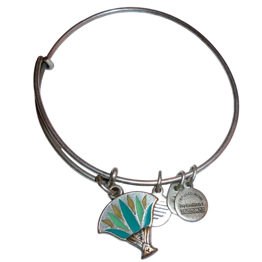 Alex and Ani Egyptian Fan Enamel Charm Bangle Bracelet Rafaelian Silver Finish